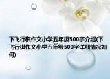下飞行棋作文小学五年级500字介绍(下飞行棋作文小学五年级500字详细情况如何)