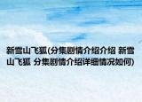 新雪山飞狐(分集剧情介绍介绍 新雪山飞狐 分集剧情介绍详细情况如何)
