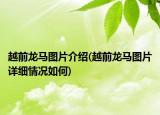 越前龙马图片介绍(越前龙马图片详细情况如何)