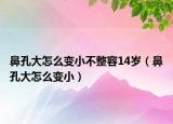 鼻孔大怎么变小不整容14岁（鼻孔大怎么变小）