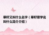 草籽又叫什么名字（草籽菜学名叫什么简介介绍）