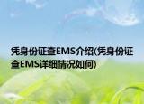 凭身份证查EMS介绍(凭身份证查EMS详细情况如何)