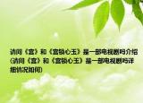 请问《宫》和《宫锁心玉》是一部电视剧吗介绍(请问《宫》和《宫锁心玉》是一部电视剧吗详细情况如何)