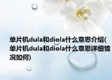 单片机dula和diola什么意思介绍(单片机dula和diola什么意思详细情况如何)