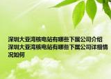 深圳大亚湾核电站有哪些下属公司介绍 深圳大亚湾核电站有哪些下属公司详细情况如何