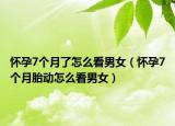怀孕7个月了怎么看男女（怀孕7个月胎动怎么看男女）