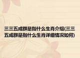 三三五成群是指什么生肖介绍(三三五成群是指什么生肖详细情况如何)