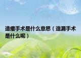 造瘘手术是什么意思（造漏手术是什么呢）
