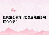 如何生态养鸡（怎么养殖生态鸡简介介绍）