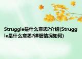 Struggle是什么意思?介绍(Struggle是什么意思?详细情况如何)