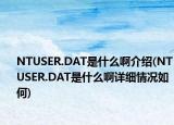 NTUSER.DAT是什么啊介绍(NTUSER.DAT是什么啊详细情况如何)