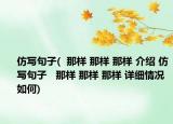 仿写句子(  那样 那样 那样 介绍 仿写句子   那样 那样 那样 详细情况如何)