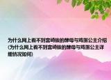 为什么网上看不到宫崎骏的酵母与鸡蛋公主介绍(为什么网上看不到宫崎骏的酵母与鸡蛋公主详细情况如何)