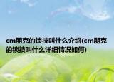 cm朋克的锁技叫什么介绍(cm朋克的锁技叫什么详细情况如何)