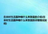 在农村生活靠种植什么来致富的介绍(在农村生活靠种植什么来致富的详细情况如何)