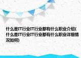 什么是IT行业IT行业都有什么职业介绍(什么是IT行业IT行业都有什么职业详细情况如何)