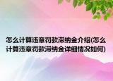 怎么计算违章罚款滞纳金介绍(怎么计算违章罚款滞纳金详细情况如何)