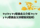 try(try try歌曲含义介绍 try try try歌曲含义详细情况如何)