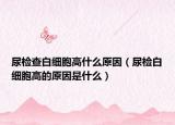 尿检查白细胞高什么原因（尿检白细胞高的原因是什么）