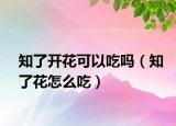 知了开花可以吃吗（知了花怎么吃）