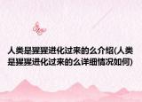 人类是猩猩进化过来的么介绍(人类是猩猩进化过来的么详细情况如何)