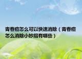 青春痘怎么可以快速消除（青春痘怎么消除小妙招有哪些）