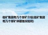 临矿集团有几个煤矿介绍(临矿集团有几个煤矿详细情况如何)