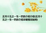 正月十五之一生一世的介绍介绍(正月十五之一生一世的介绍详细情况如何)