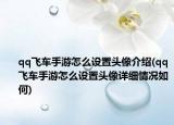 qq飞车手游怎么设置头像介绍(qq飞车手游怎么设置头像详细情况如何)