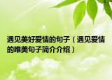 遇见美好爱情的句子（遇见爱情的唯美句子简介介绍）