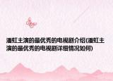 潘虹主演的最优秀的电视剧介绍(潘虹主演的最优秀的电视剧详细情况如何)