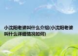 小沈阳老婆叫什么介绍(小沈阳老婆叫什么详细情况如何)
