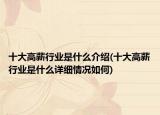 十大高薪行业是什么介绍(十大高薪行业是什么详细情况如何)
