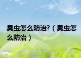 臭虫怎么防治?（臭虫怎么防治）