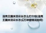 洛克王国关羽云长怎么打介绍(洛克王国关羽云长怎么打详细情况如何)