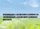 勤劳聪明的温州人现在都在哪些行业赚钱呢介绍(勤劳聪明的温州人现在都在哪些行业赚钱呢详细情况如何)