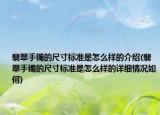 翡翠手镯的尺寸标准是怎么样的介绍(翡翠手镯的尺寸标准是怎么样的详细情况如何)