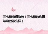 三七粉有何功效（三七粉的作用与功效怎么样）