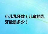 小儿乳牙数（儿童的乳牙数是多少）