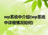 wp系统中介绍(wp系统中详细情况如何)