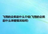 飞翔的企鹅是什么介绍(飞翔的企鹅是什么详细情况如何)