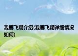 我要飞翔介绍(我要飞翔详细情况如何)