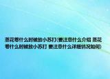 蒸花卷什么时候放小苏打(要注意什么介绍 蒸花卷什么时候放小苏打 要注意什么详细情况如何)