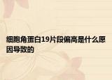 细胞角蛋白19片段偏高是什么愿因导致的