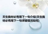 天生我材必有用下一句介绍(天生我材必有用下一句详细情况如何)