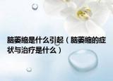 脑萎缩是什么引起（脑萎缩的症状与治疗是什么）