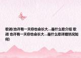 歌词(也许有一天你也会长大…是什么歌介绍 歌词 也许有一天你也会长大…是什么歌详细情况如何)