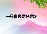 一只白虎是好是坏