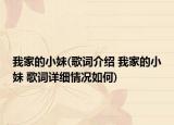我家的小妹(歌词介绍 我家的小妹 歌词详细情况如何)