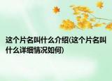 这个片名叫什么介绍(这个片名叫什么详细情况如何)